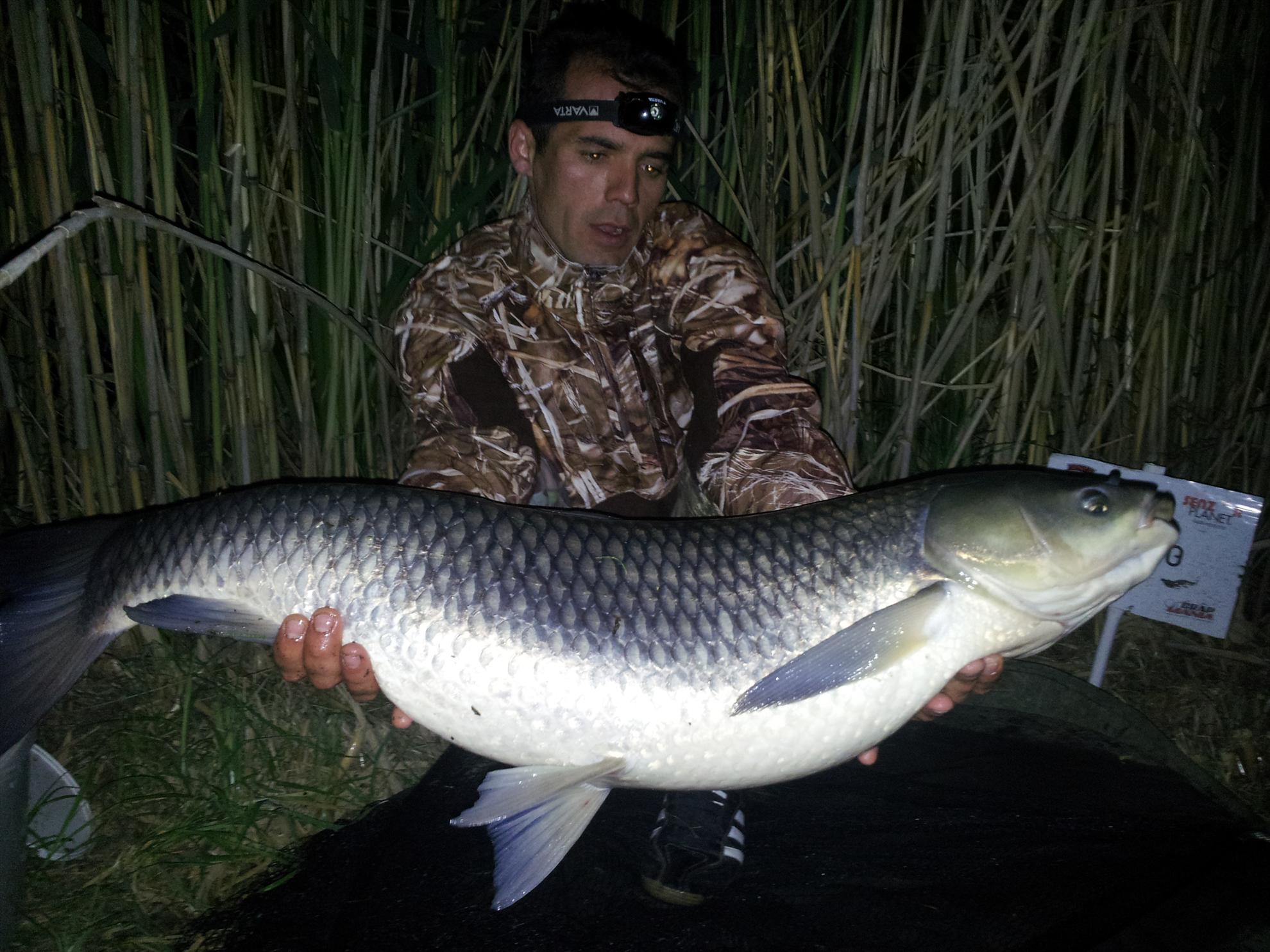 tancabesti 11-12'05''2013 - 20130512013148.jpg